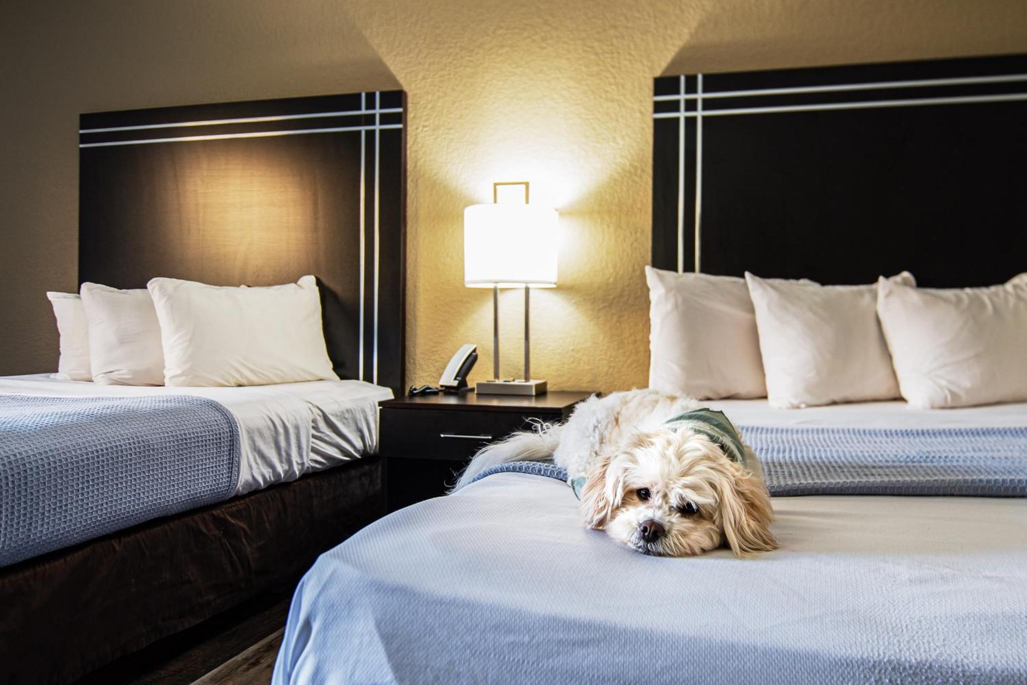 Econo Lodge Cleveland Southeast - Kent Стрітсборо Екстер'єр фото
